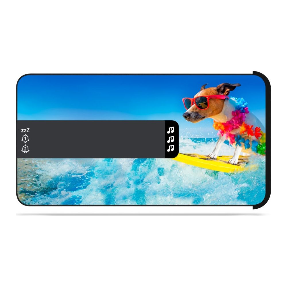Chien surfant sur une planche avec lunettes de soleil et collier de fleurs.