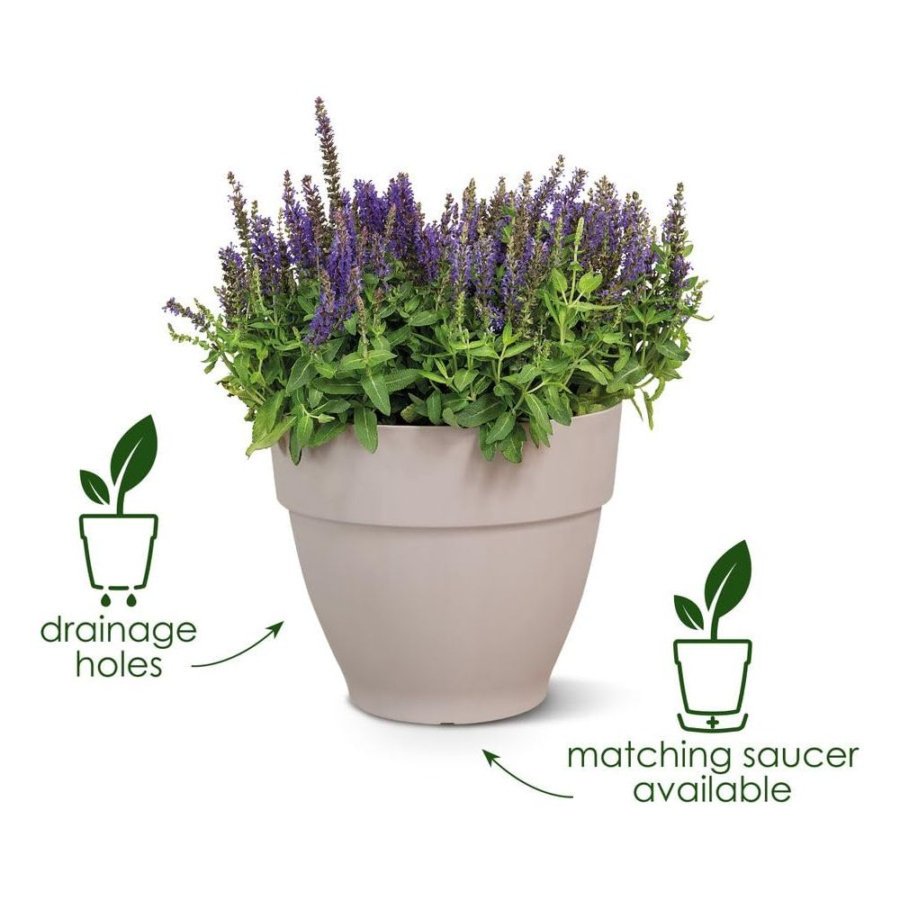 Ein beiger Topf mit lila Blumen und grünen Blättern, zeigt Drainagelöcher und Untersetzerinfo.