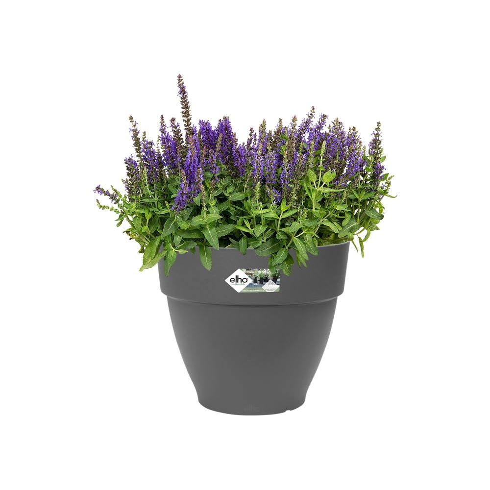 Ein grauer Elho-Blumentopf gefüllt mit blühendem Salbei und grünen Blättern.