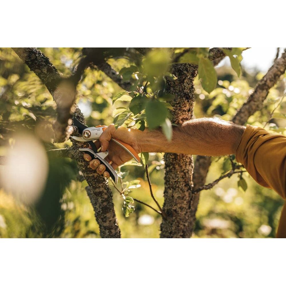 Eine Hand benutzt eine Gartenschere, um einen Ast zu beschneiden.
