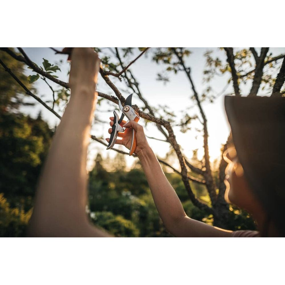 Person schneidet Ast mit orangefarbener Gartenschere im Sonnenlicht.