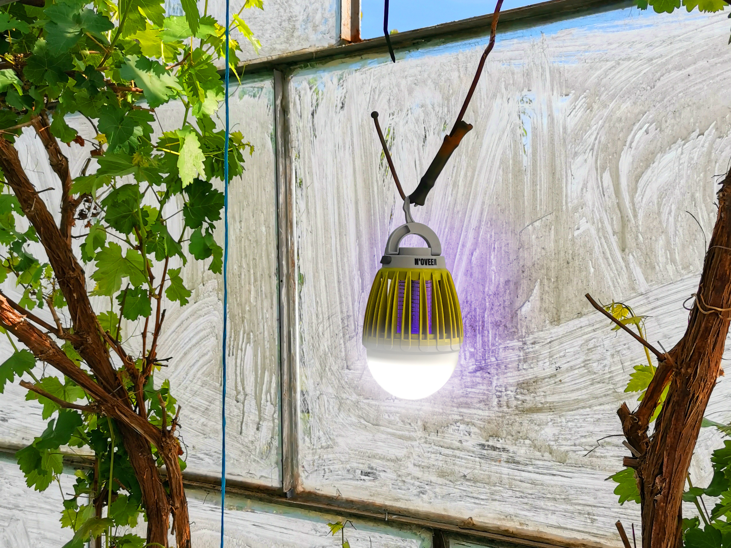 Żółta lampa owadobójcza z lampą UV wisi obok winorośli przed oknem.