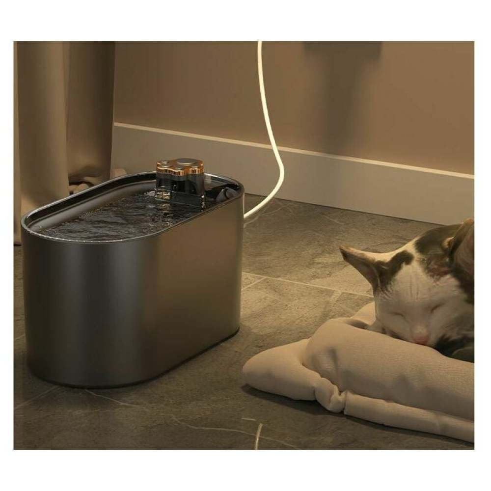 Eine Katze schläft auf einem Kissen neben einem Wasserspender.