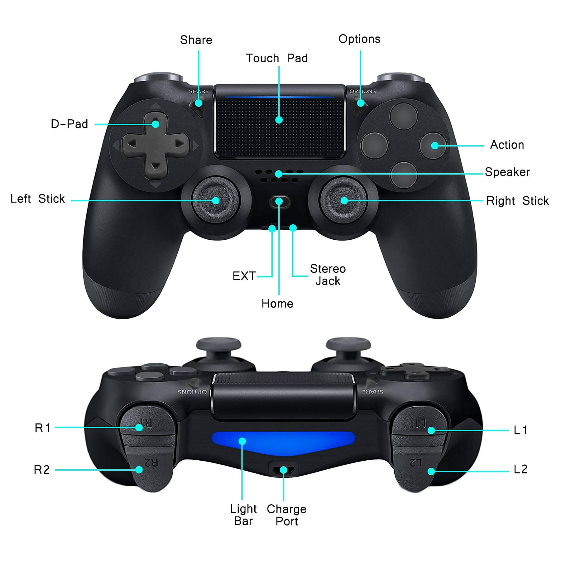 Ein schwarzer Controller mit Beschriftungen für Tasten, Sticks, Touchpad und Anschlüsse.