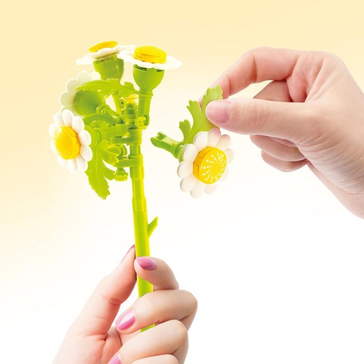 Hände bauen einen grünen Stiel mit weißen und gelben Blumen.