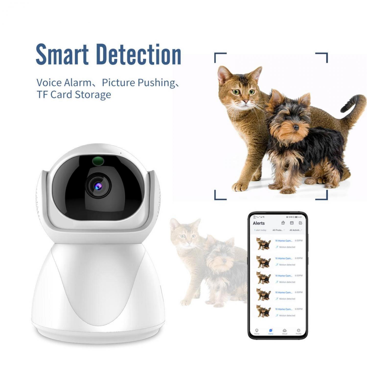 Überwachungskamera mit Katze und Hund, Smartphone-Benachrichtigungen.