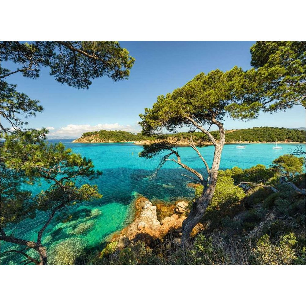 Küste mit türkisfarbenem Wasser, Bäumen und Segelbooten bei Sonnenschein.