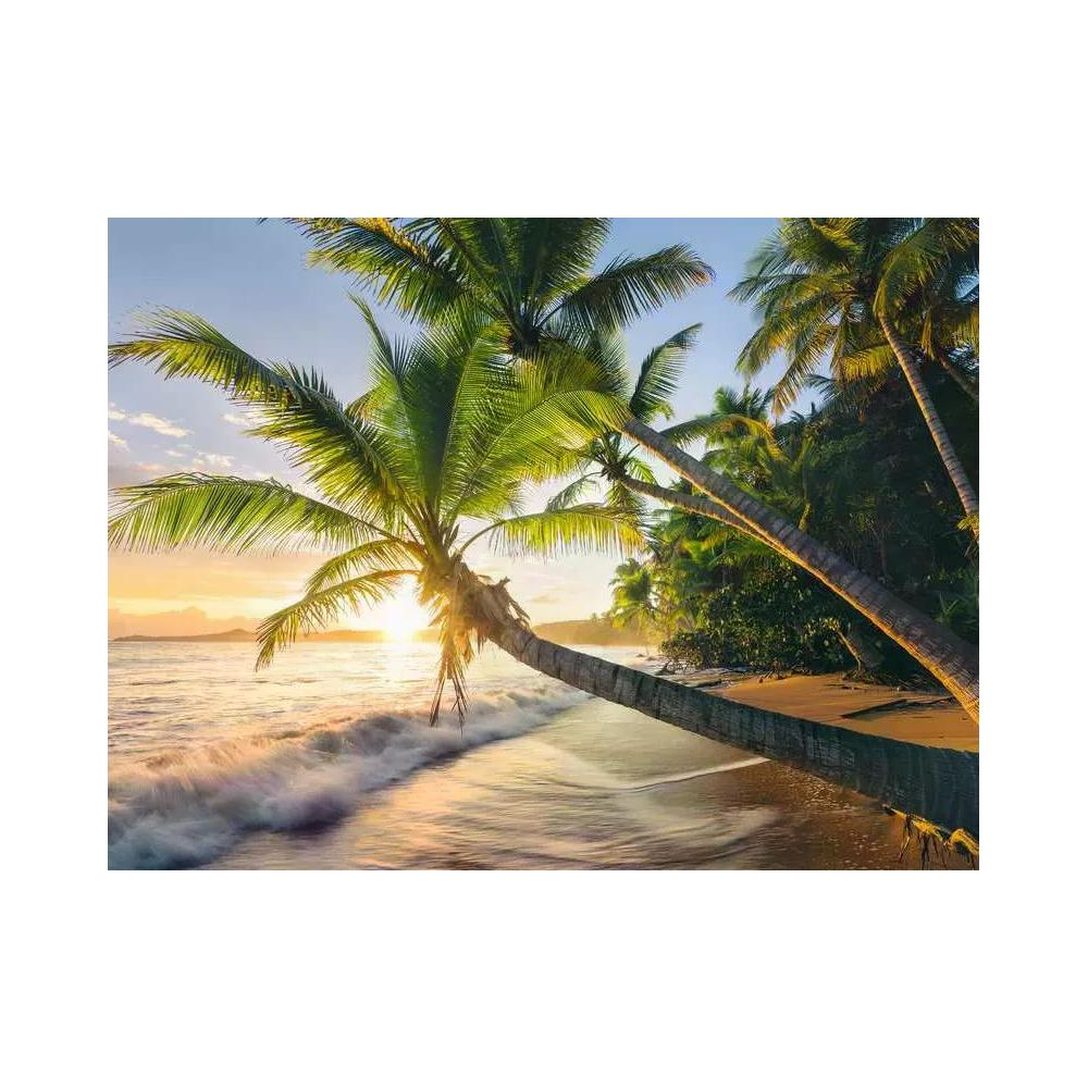 Palmiers sur une plage de sable au coucher du soleil avec des vagues.