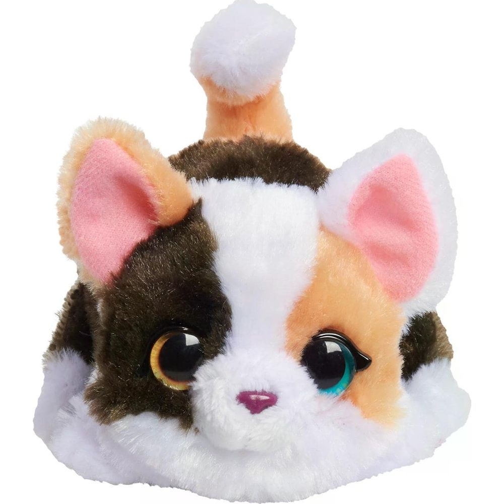Un chaton en peluche calico, moelleux, avec de grands yeux brillants.