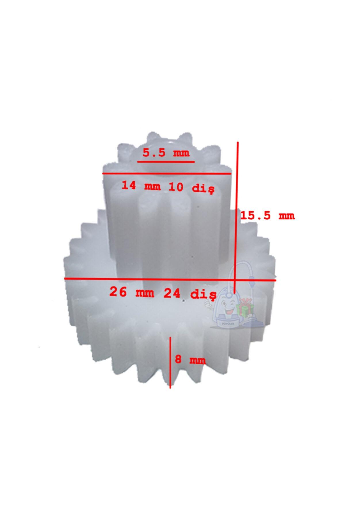 Boyutları olan iki beyaz dişli: 5,5 mm, 14 mm, 15,5 mm, 8 mm.