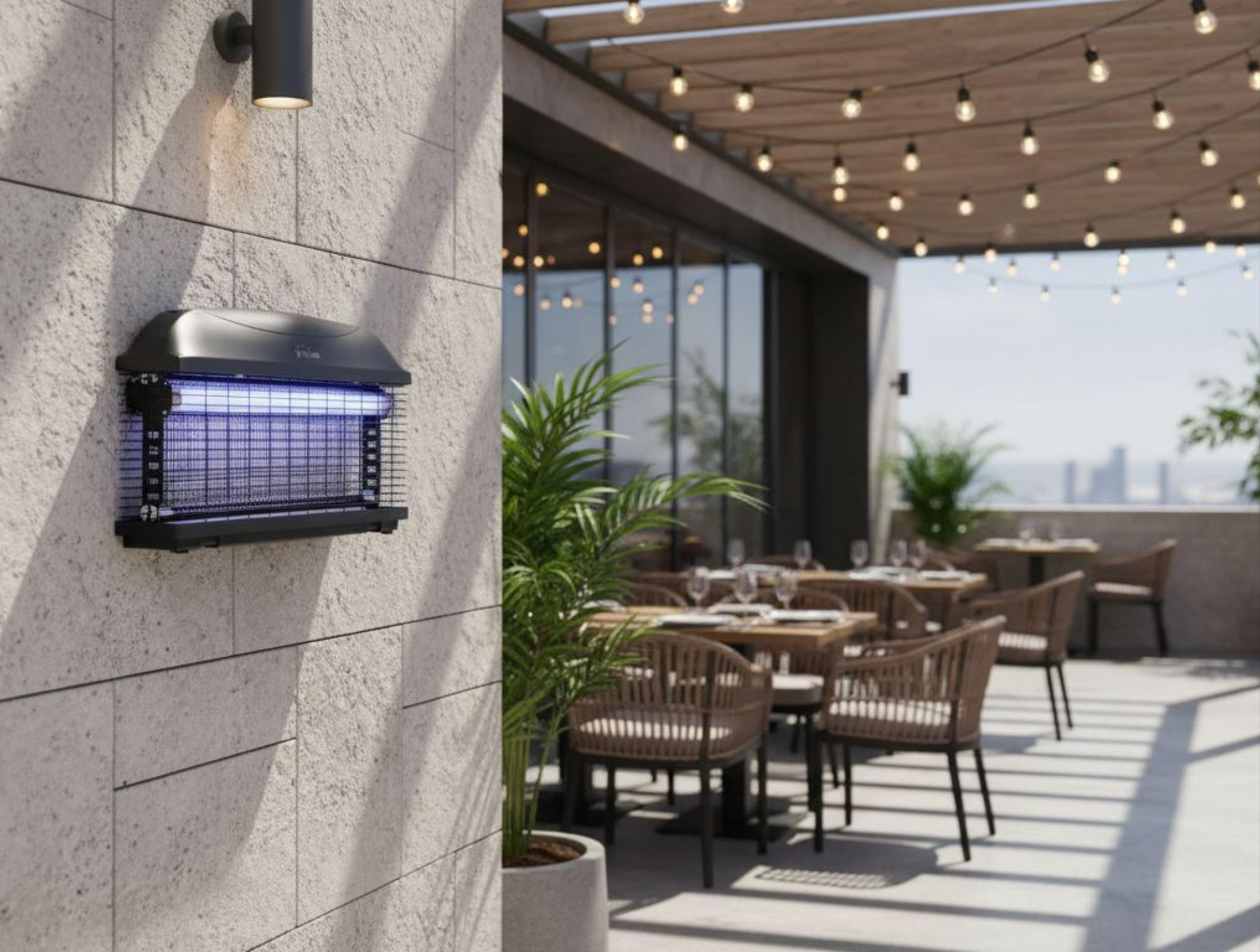 Un insecticida cuelga de una pared sobre un restaurante con luces de cadena.