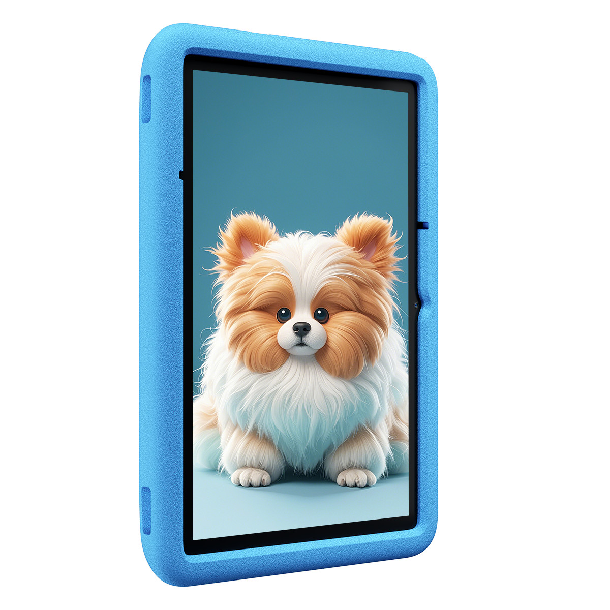 Un cane soffice con pelo marrone e bianco siede in una custodia blu.