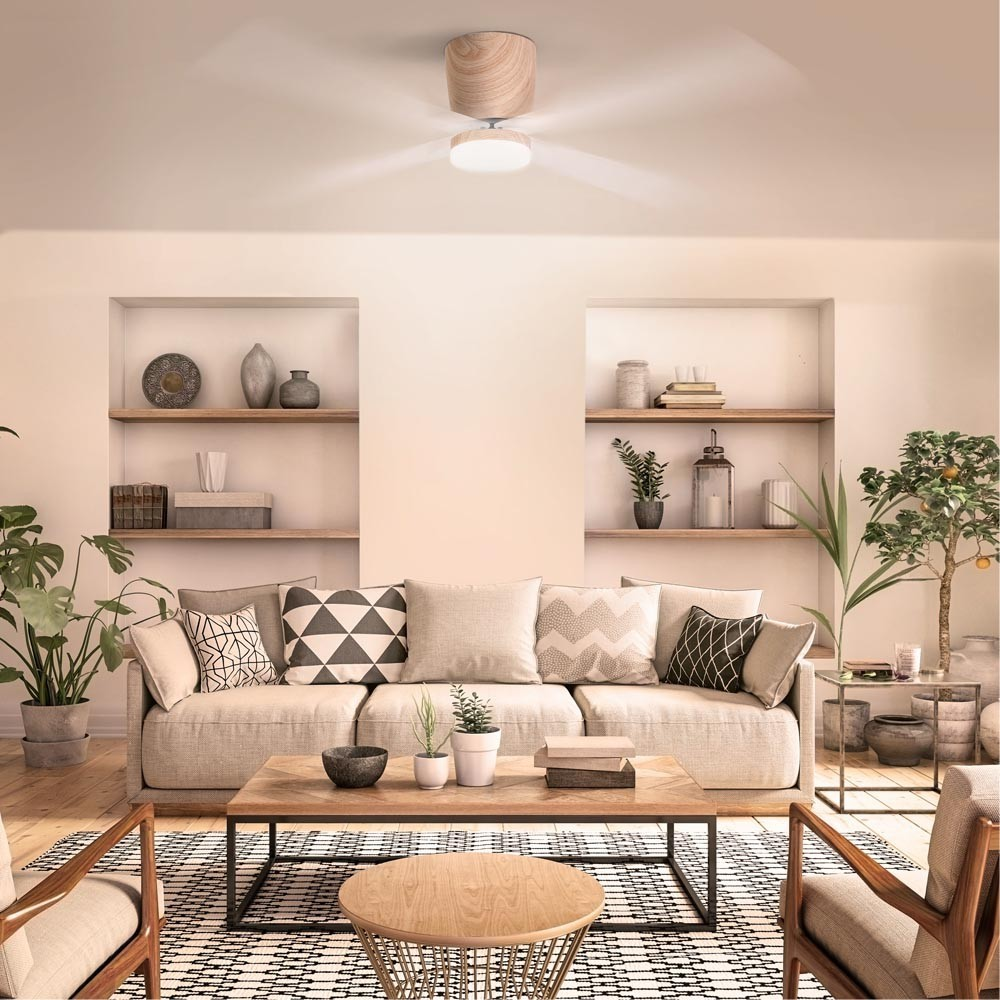 Sala de estar luminosa con sofá, mesa de centro, ventilador de techo y plantas.