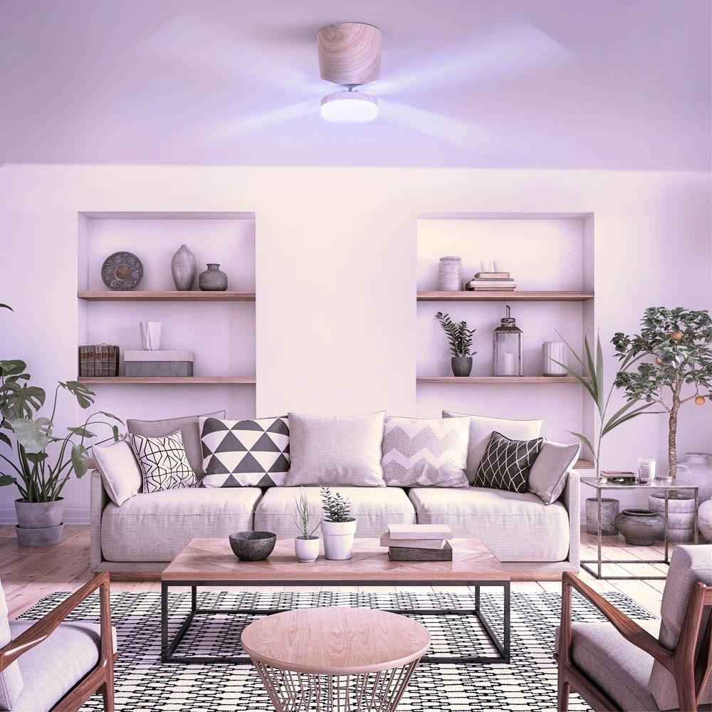 Sala de estar moderna con sofá, mesa de centro, ventilador de techo y plantas.
