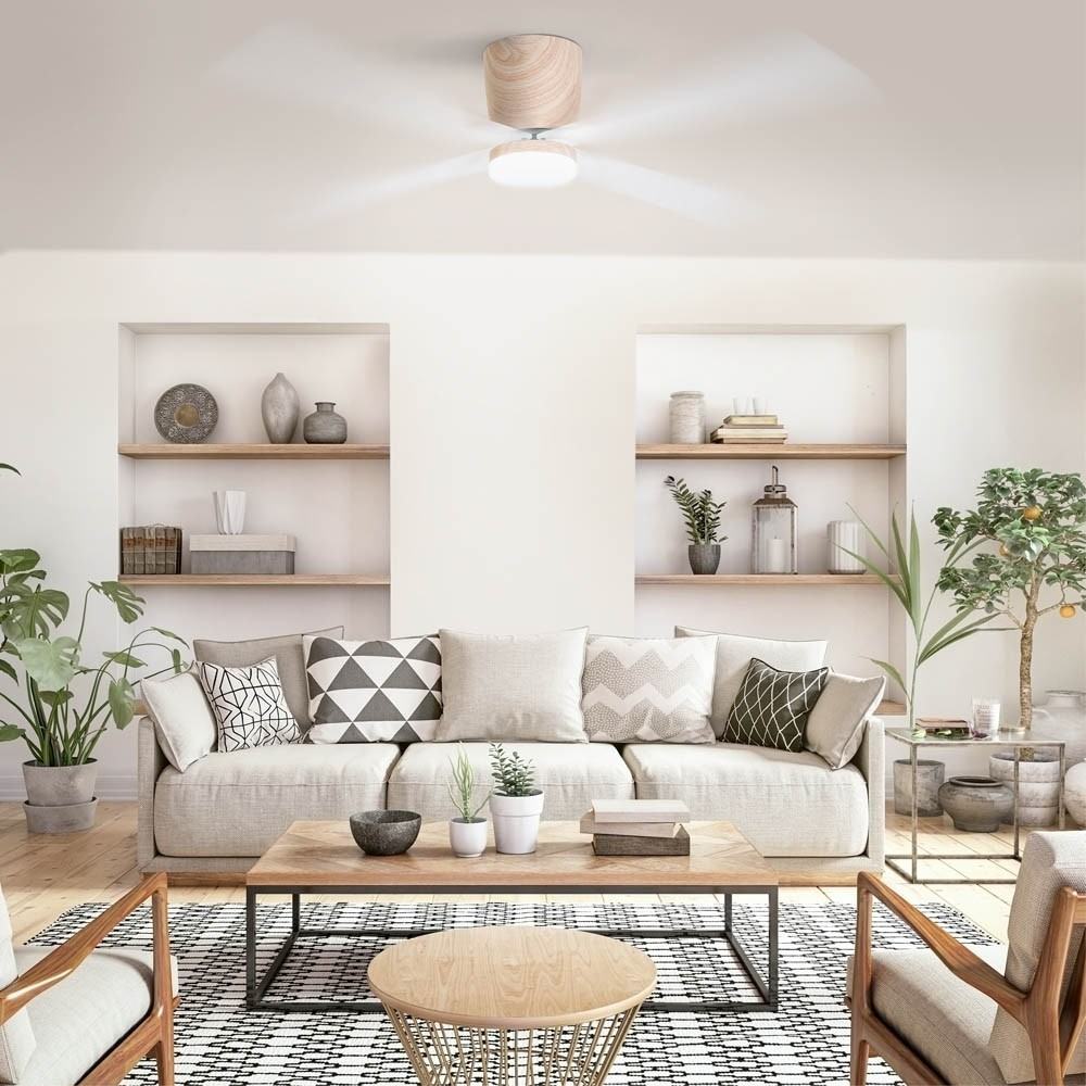 Sala de estar moderna con sofá, mesa de centro, ventilador de techo y plantas.