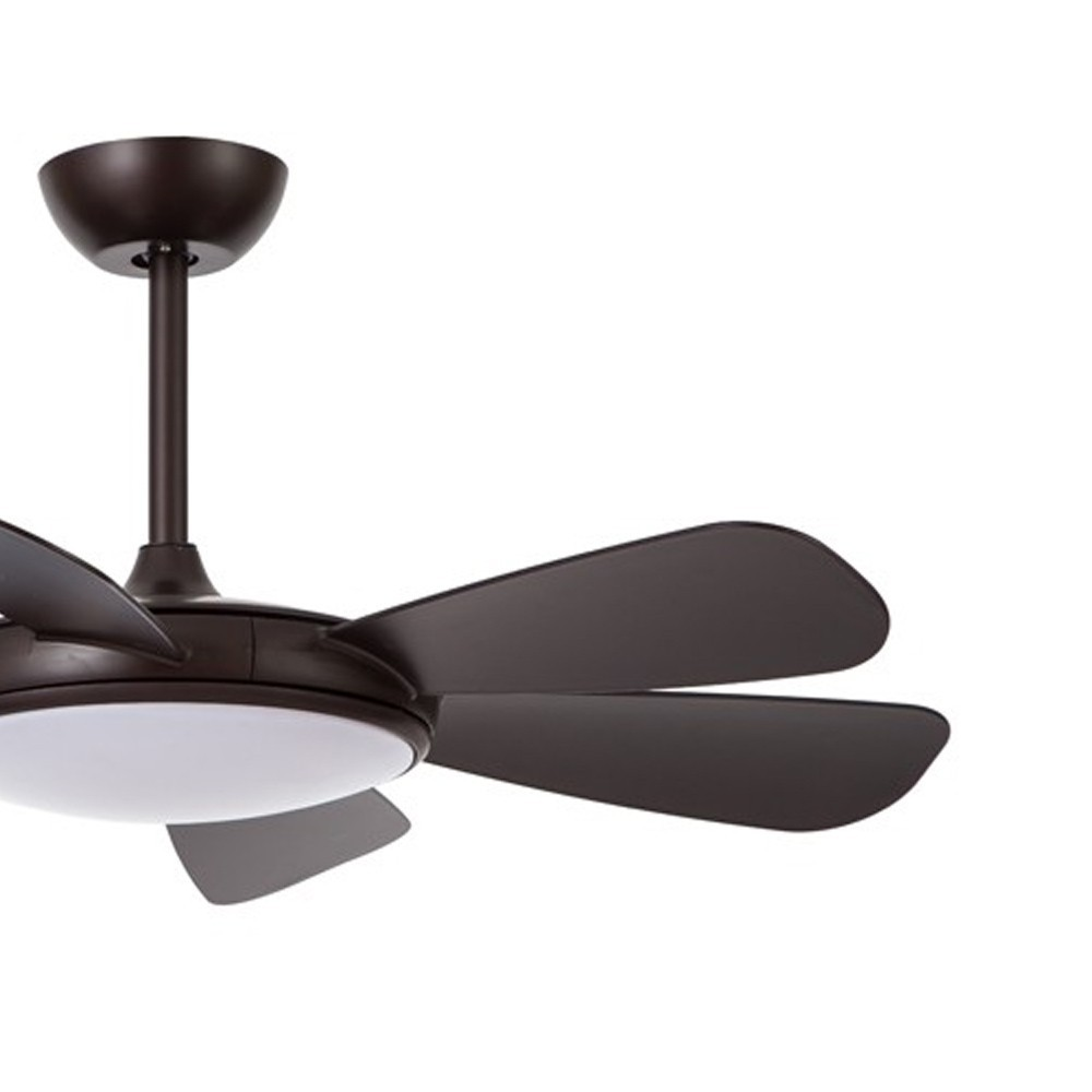 Ventilador de techo marrón oscuro con luz y cuatro aspas, sobre fondo blanco.