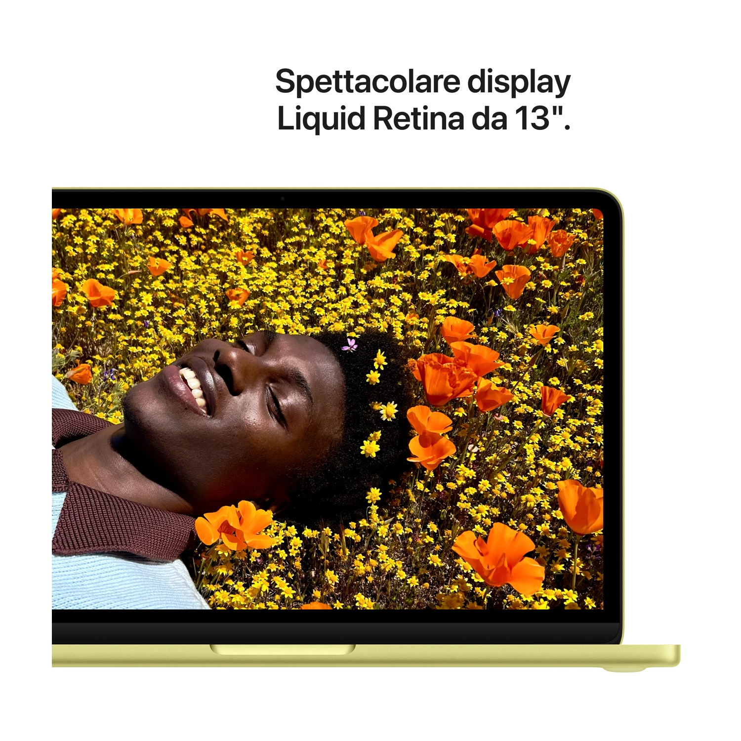 Mężczyzna leży wśród kwiatów. Laptop wyświetla obraz.