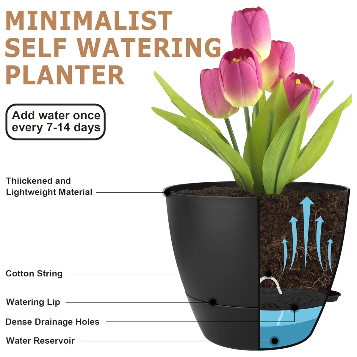 Ein schwarzer, minimalistischer Pflanztopf mit rosa Tulpen und Erläuterungen zur Bewässerung.