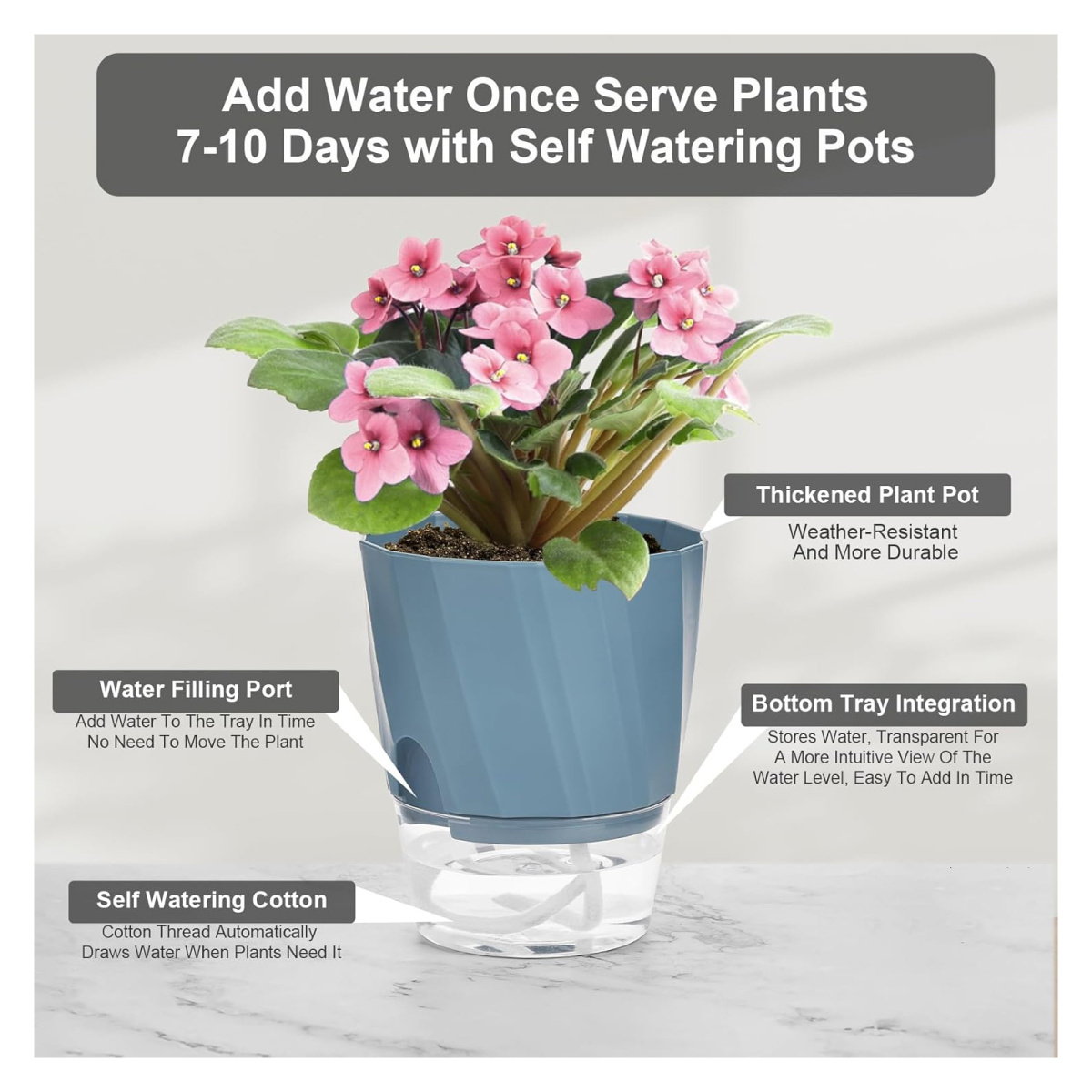 Ein blauer Topf mit rosa blühender Pflanze über einem transparenten Wasserbehälter.