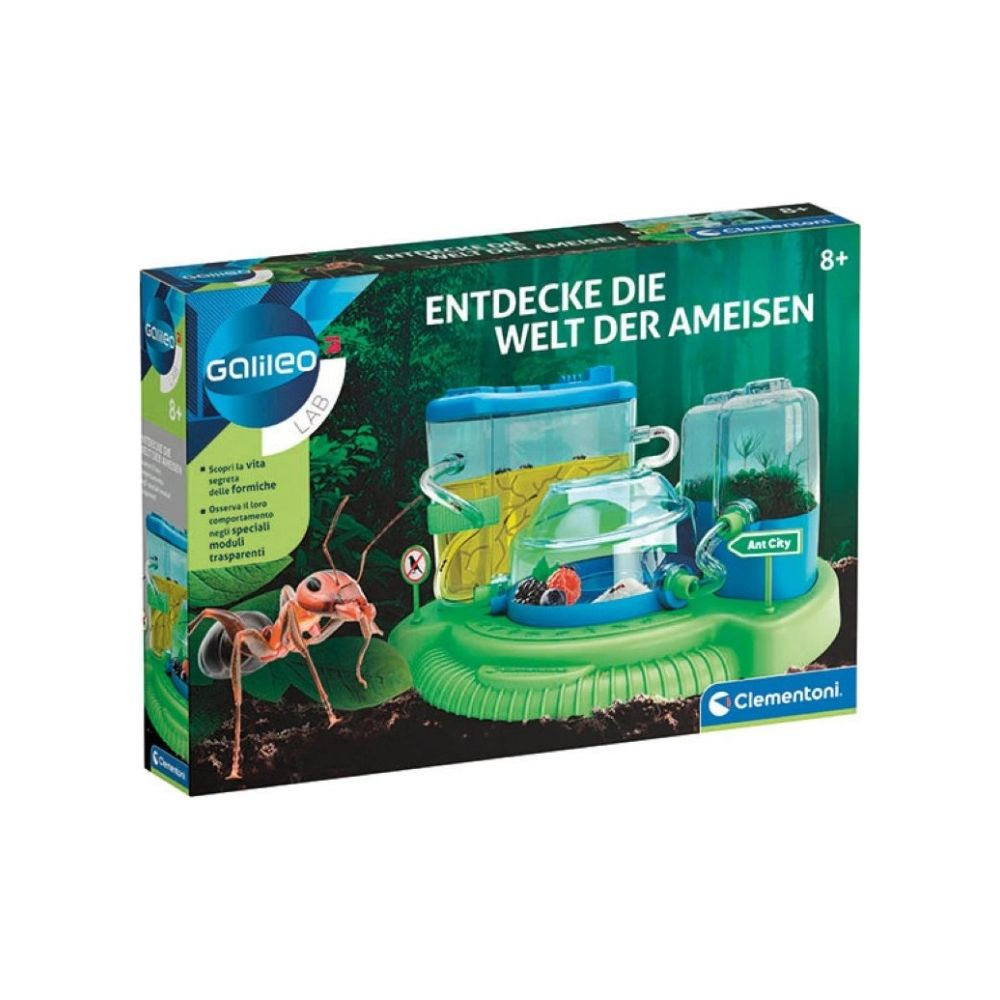Ein Ameisen-Labor-Spielzeug mit einem Ameisenbild und transparenten Röhren.