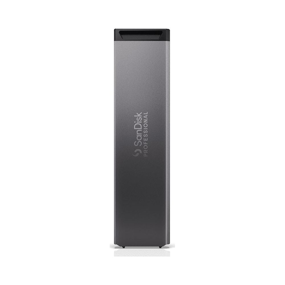 Grauer USB-Stick mit SanDisk Professional Logo, auf weißem Hintergrund.
