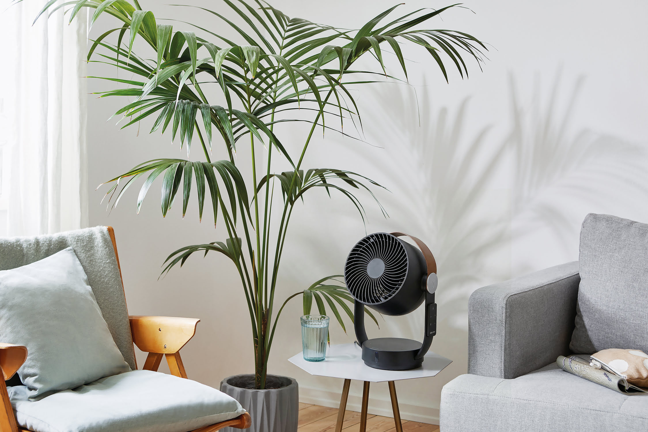 Un ventilateur à côté d'un palmier et d'un verre d'eau sur une table d'appoint.