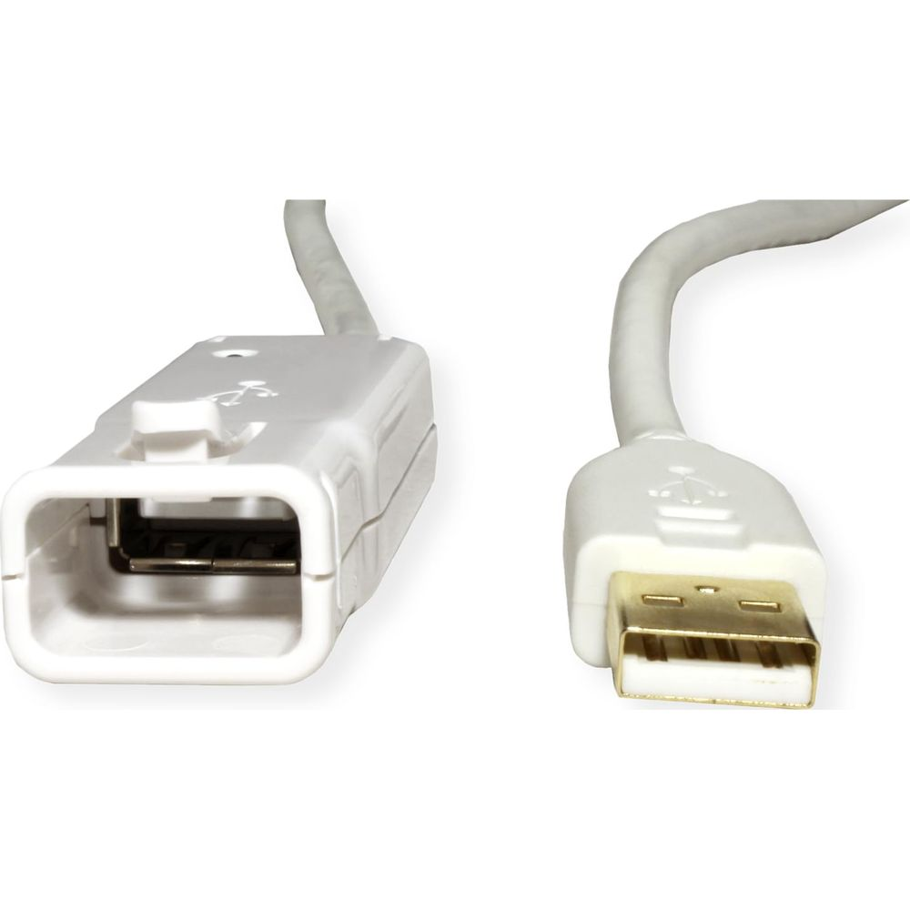 Un cavo di prolunga USB bianco con spina maschio e porta femmina.