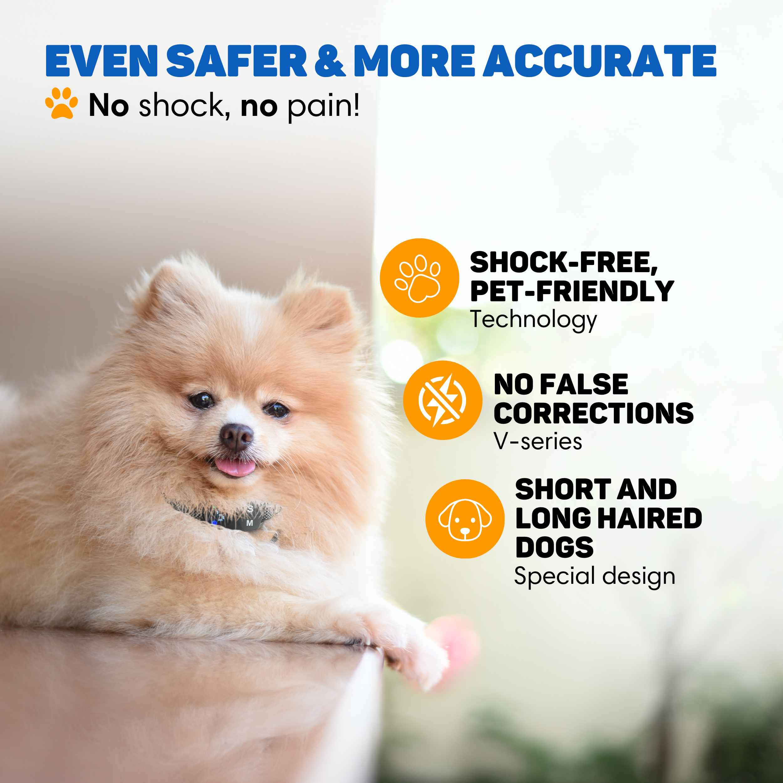 A Pomeranian dog rests on a polished surface, with text about safety.