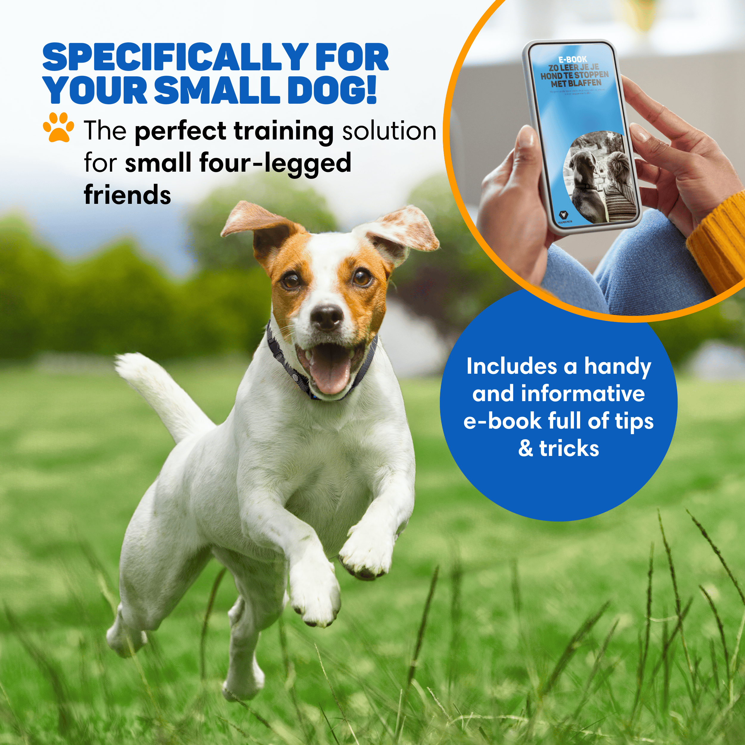 A dog runs on green grass, next to it a phone with an e-book.