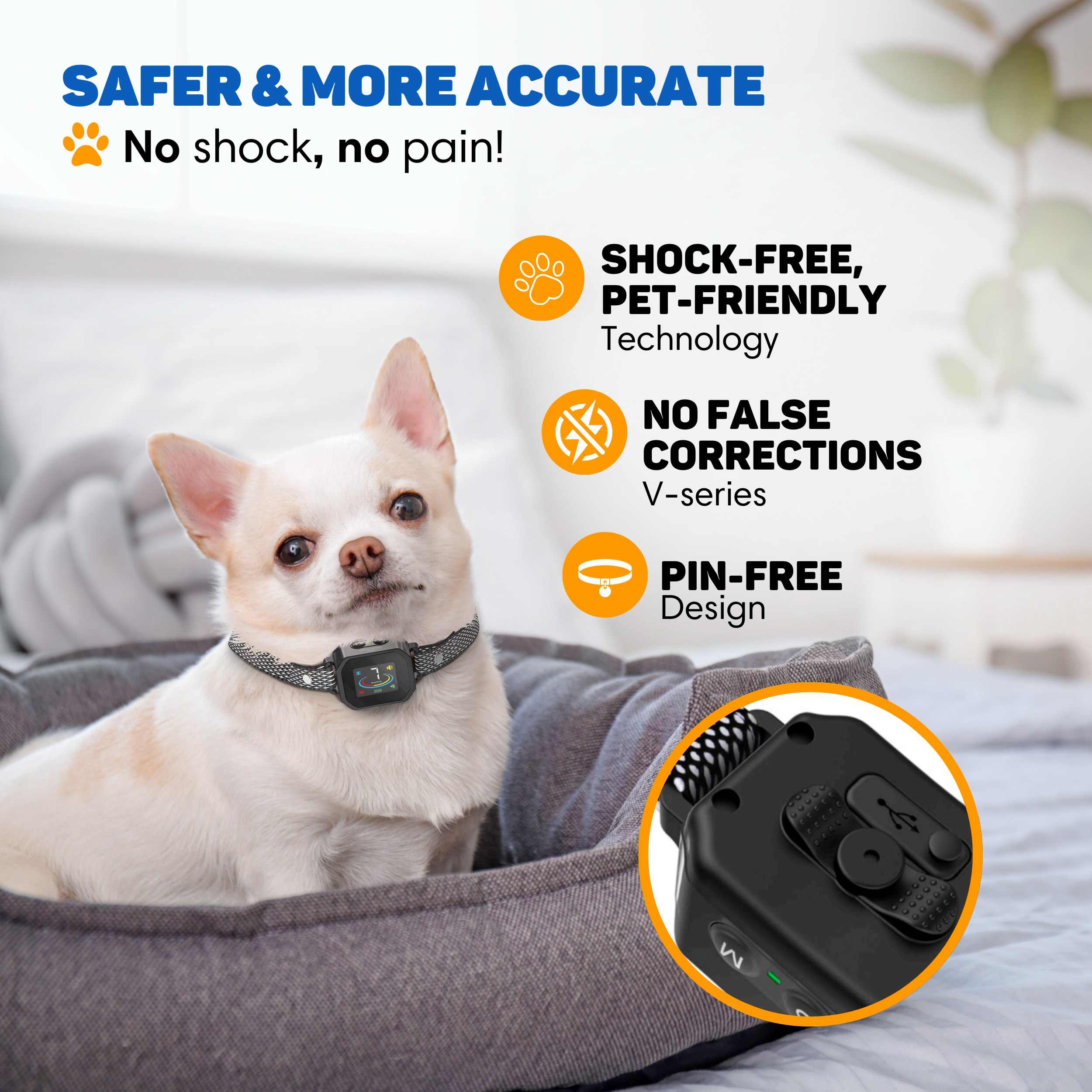A chihuahua sits in a dog bed. A collar with technology is shown.