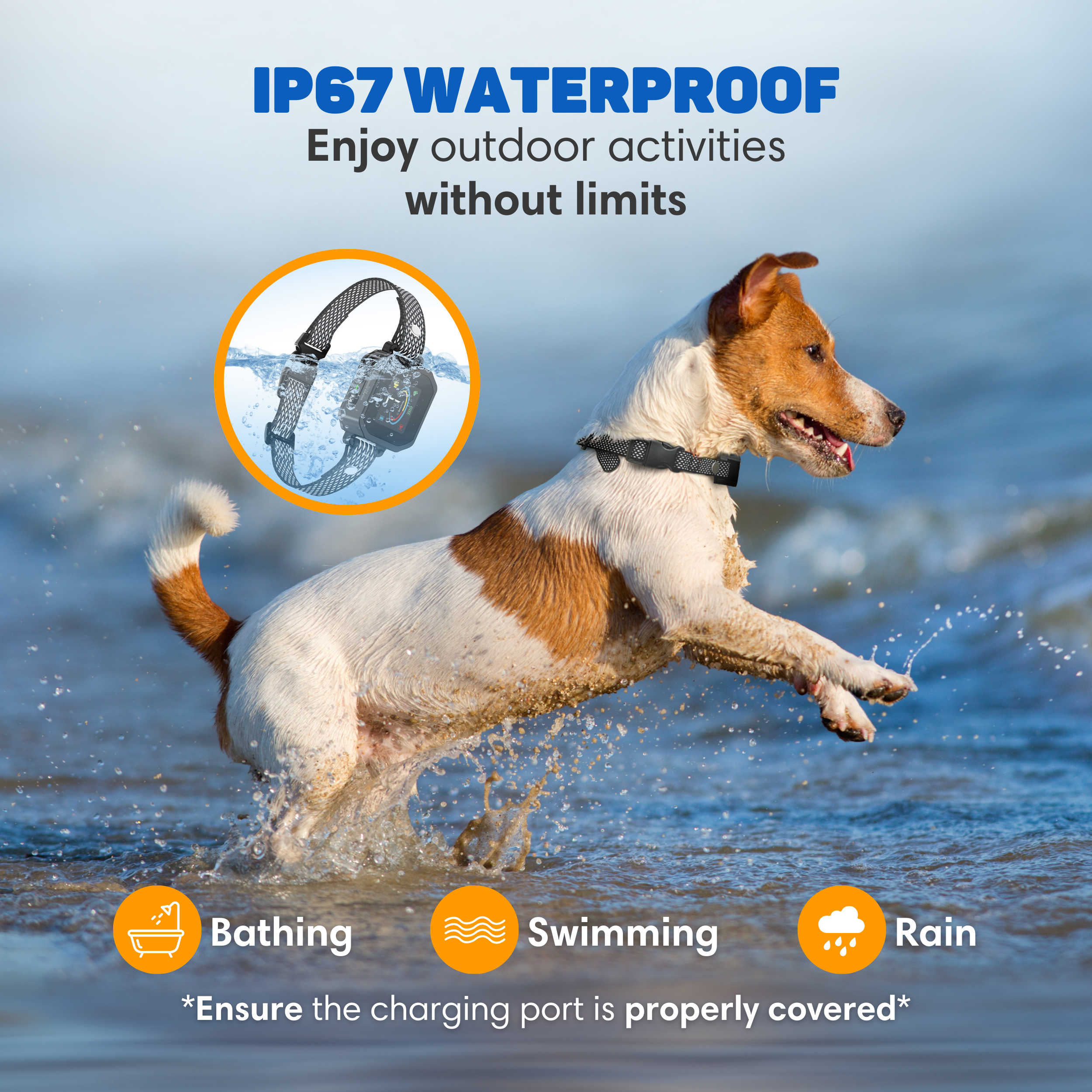 A dog with a collar in the water. IP67 waterproof.