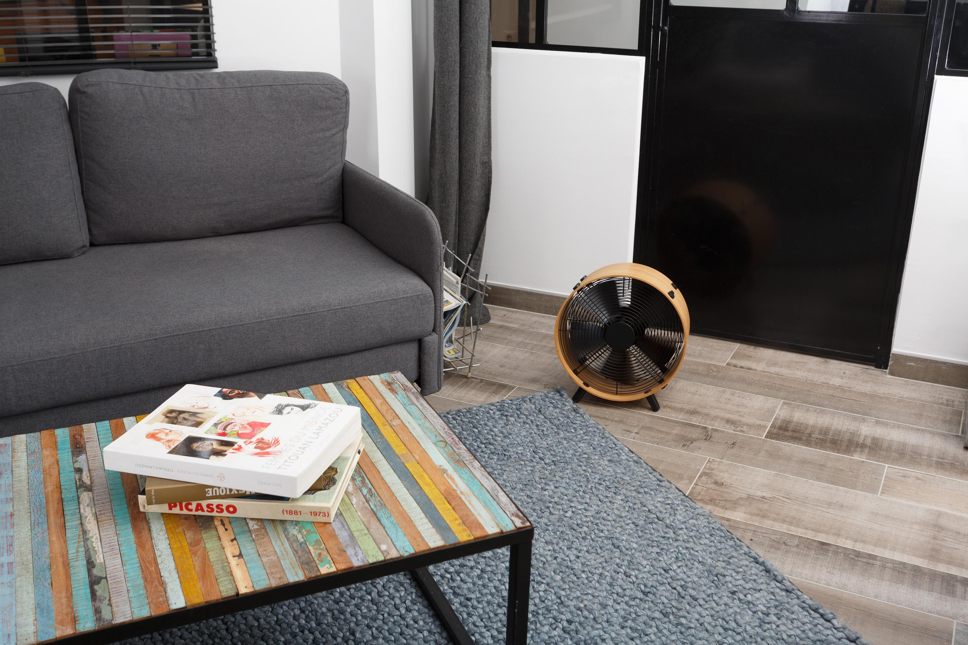 Salon avec canapé, table basse avec livres, ventilateur et tapis.