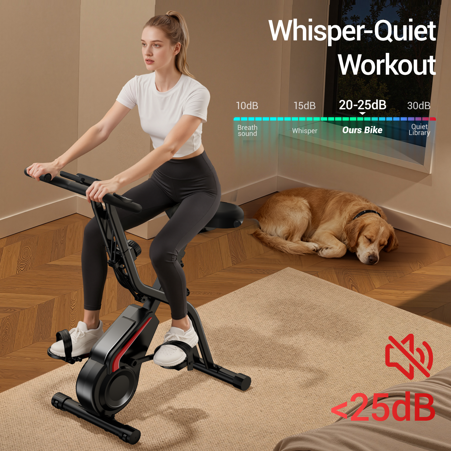 Eine Frau auf einem Heimtrainer, ein Hund schläft daneben. Geräuschpegel unter 25 dB.