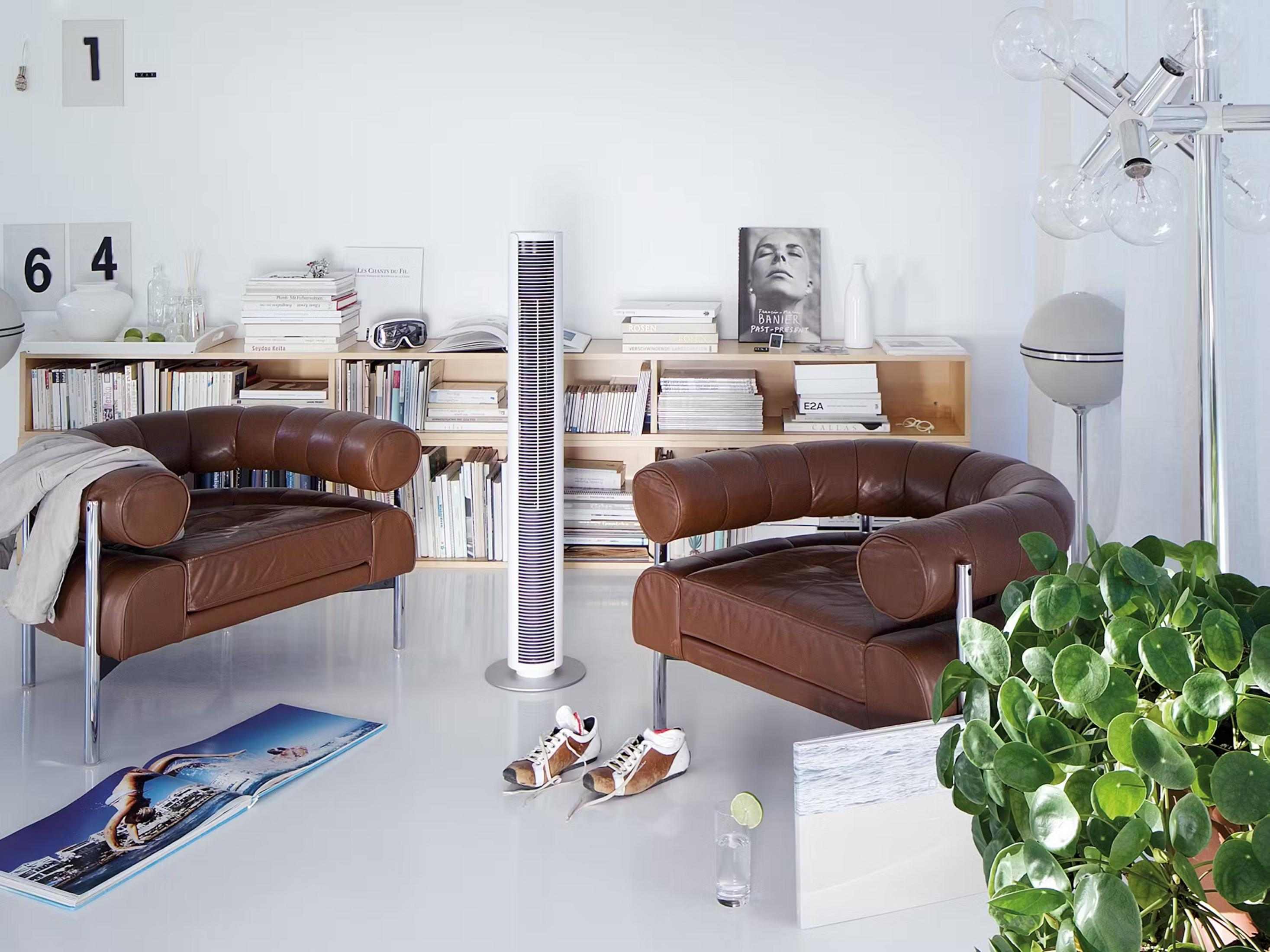 Fauteuils en cuir marron, étagères, ventilateur tour, lampe et plante.
