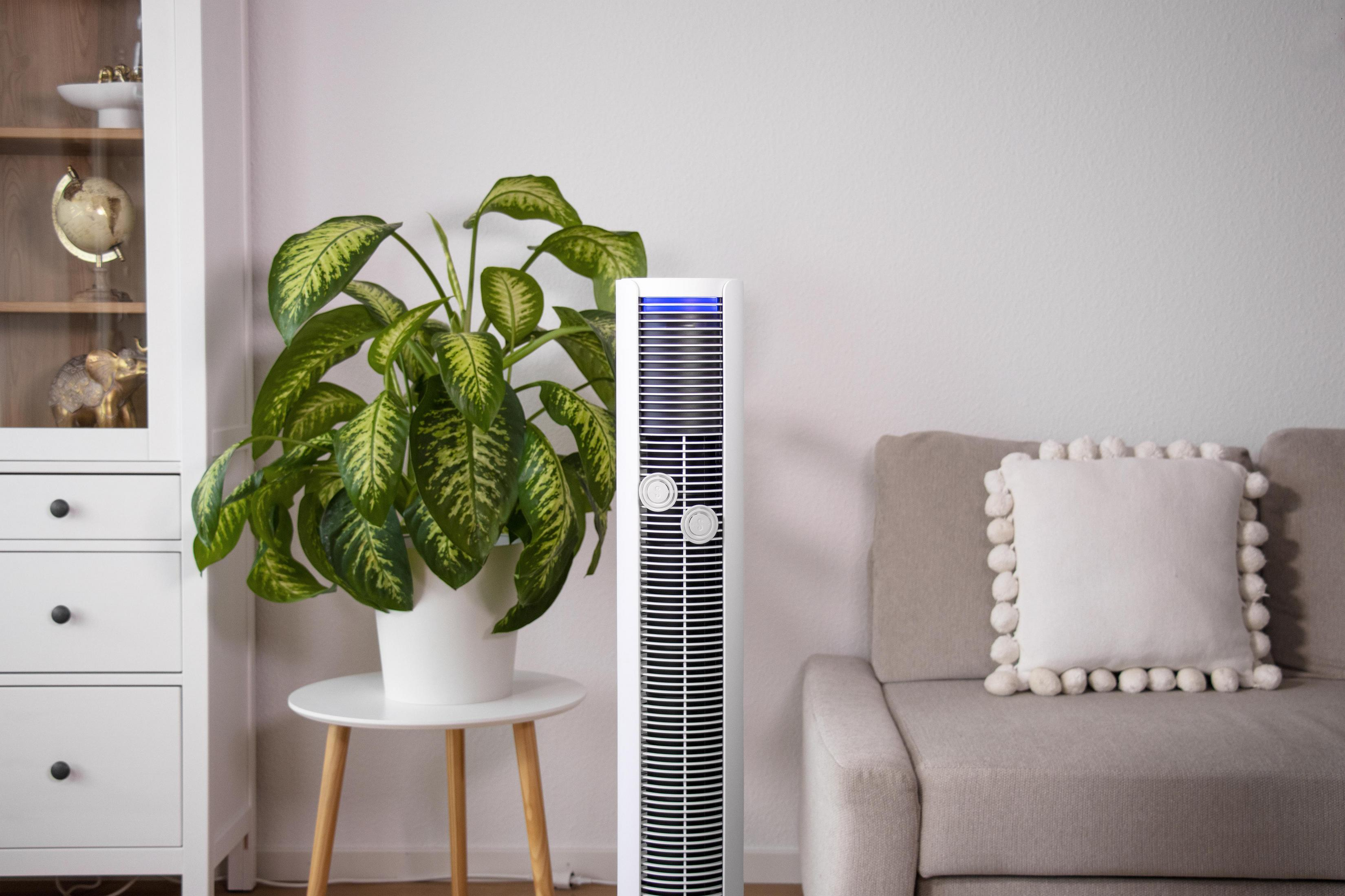 Un ventilateur à côté d'une plante et d'un canapé avec coussins.