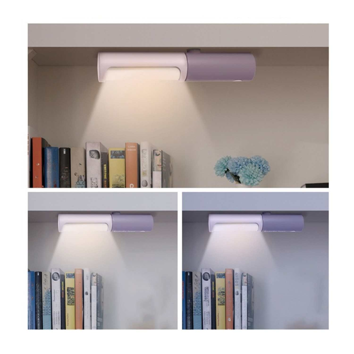 Ein lila und weißes Licht beleuchtet Bücherregale voller Bücher.