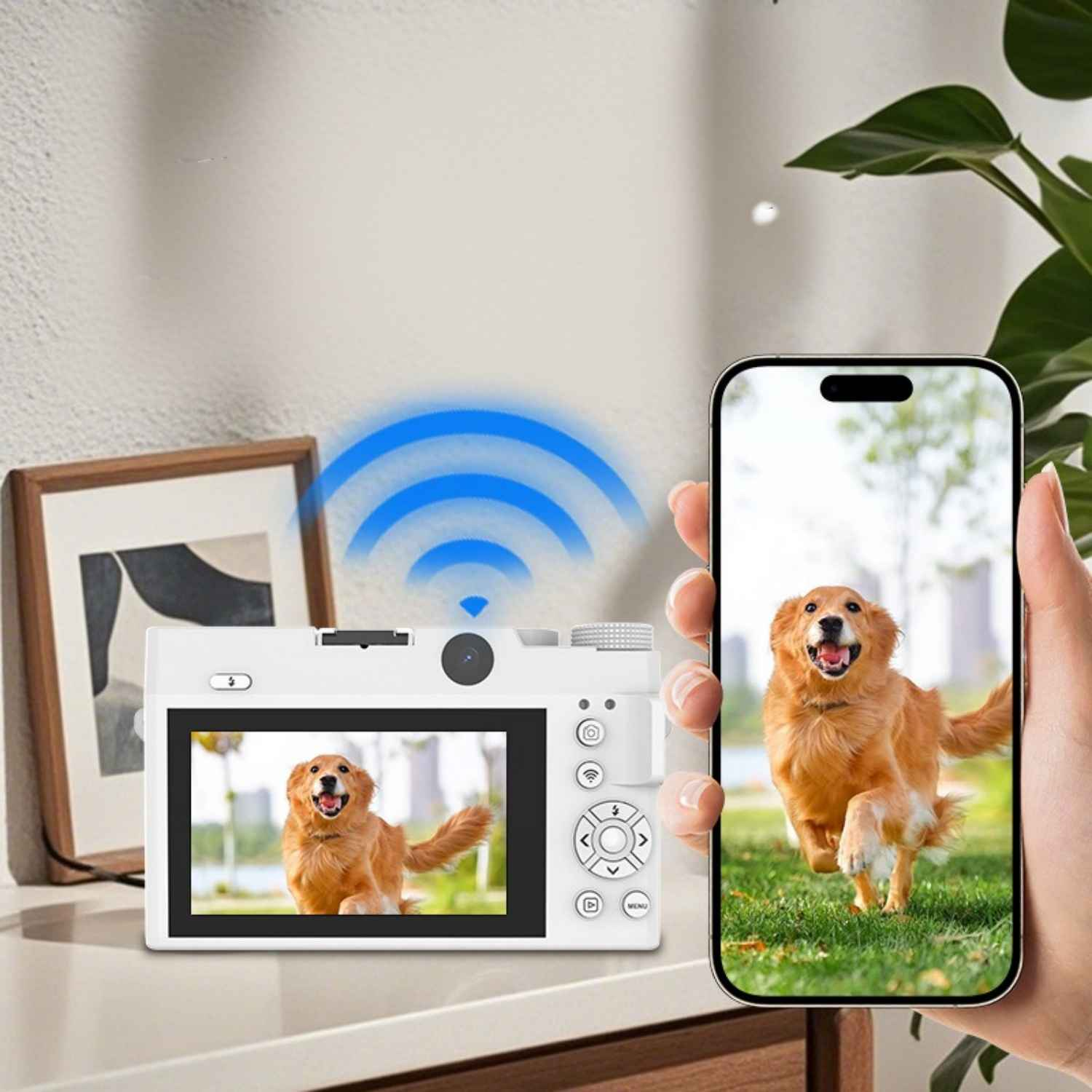 Eine Kamera zeigt einen Hund, während ein Smartphone dasselbe Bild anzeigt.