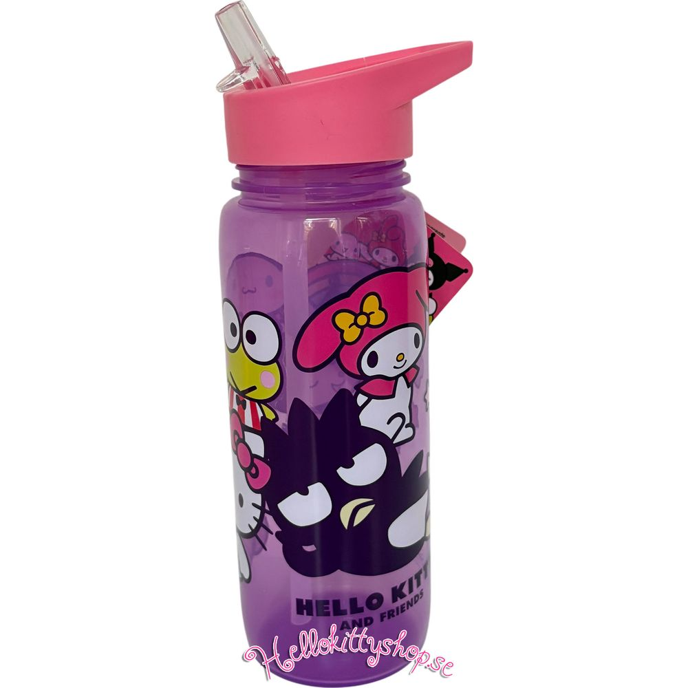 Lila Trinkflasche mit Hello Kitty und Freunden Motiv, pinker Deckel.
