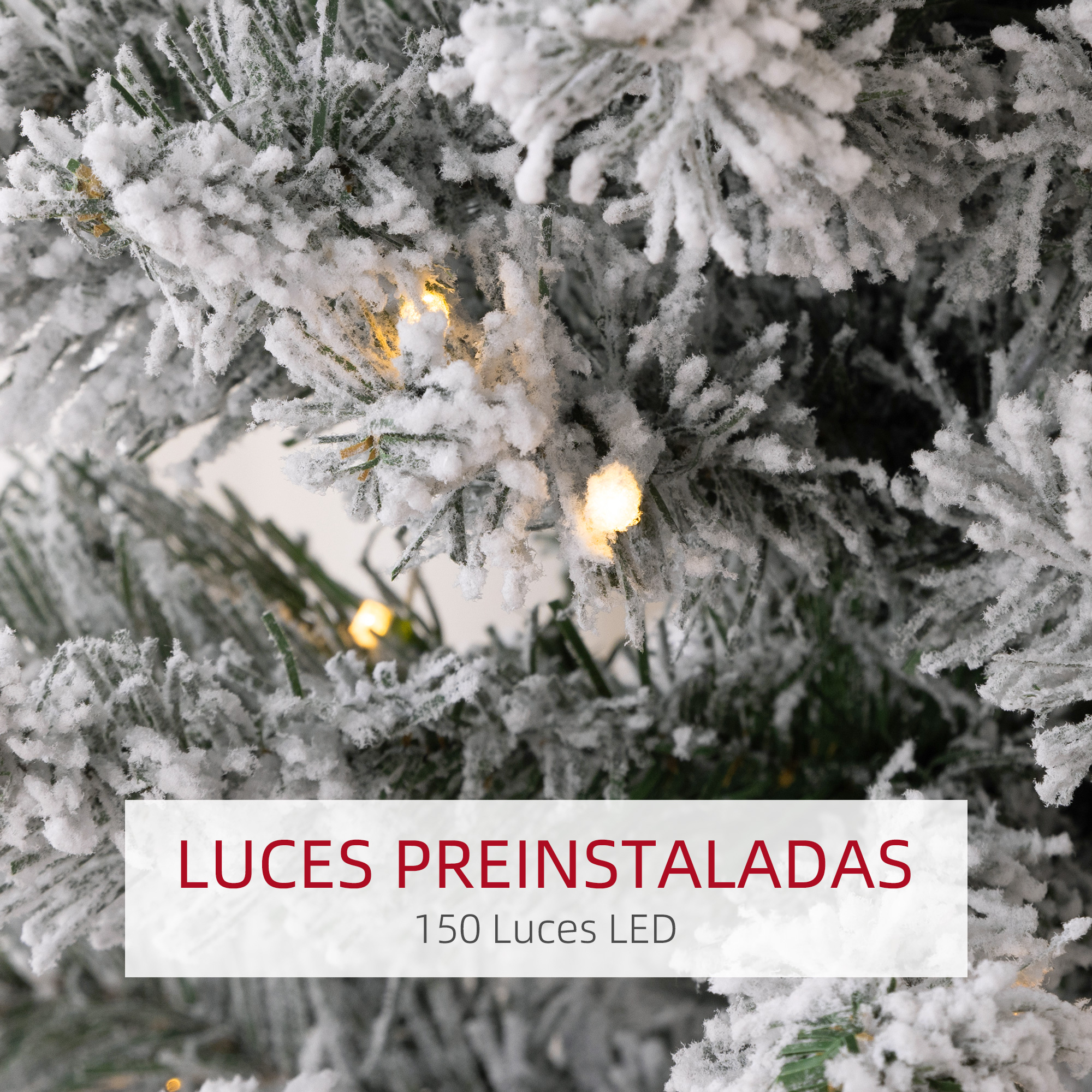 Primer plano de ramas de pino cubiertas de nieve con luces.
