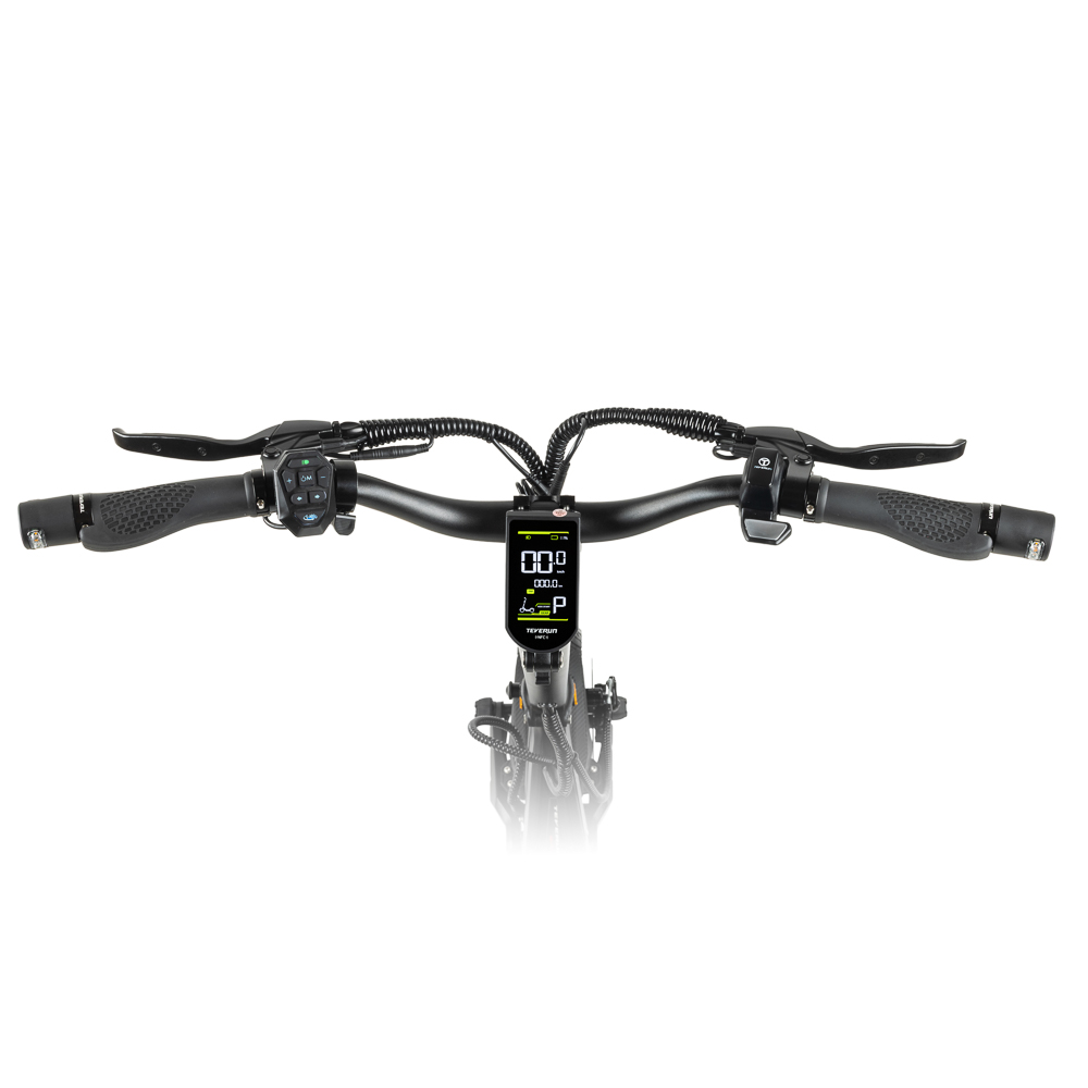 Lenker eines E-Scooters mit Display, Griffen und Bremshebeln.