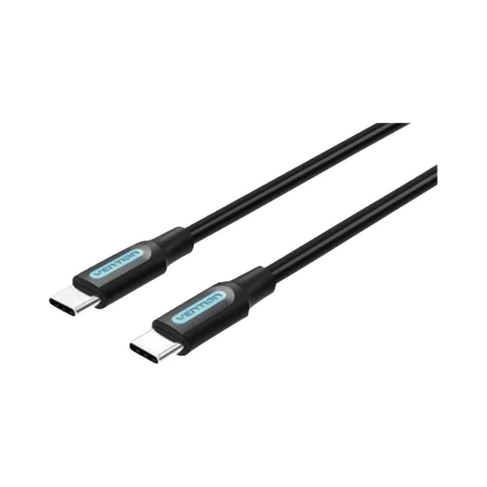 Deux câbles USB-C noirs avec connecteurs argentés sur fond blanc.