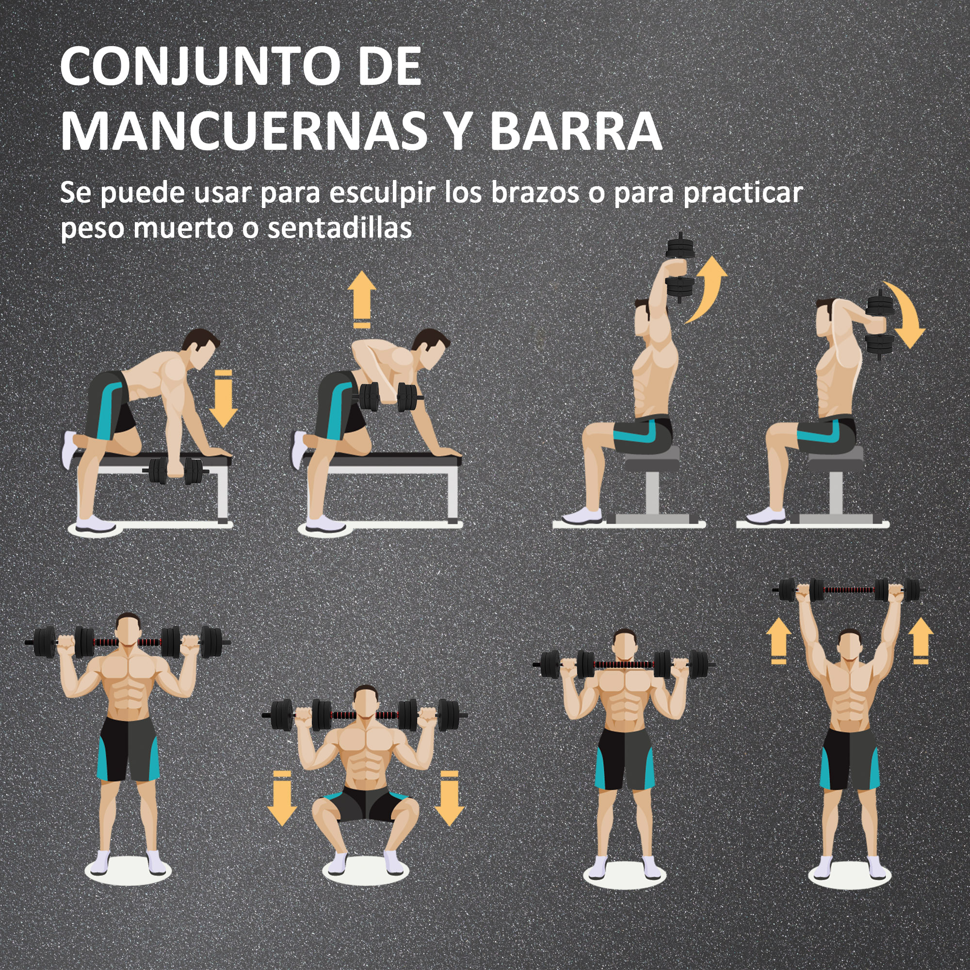 Ilustraciones de hombres realizando ejercicios con mancuernas y barras.
