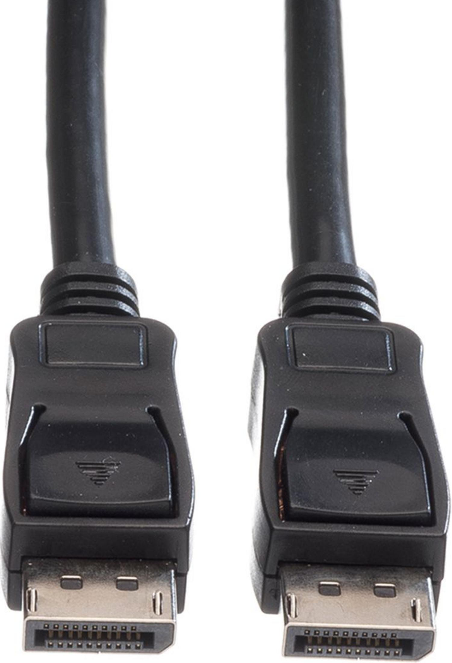 Twee zwarte DisplayPort kabels met connectoren op witte achtergrond.
