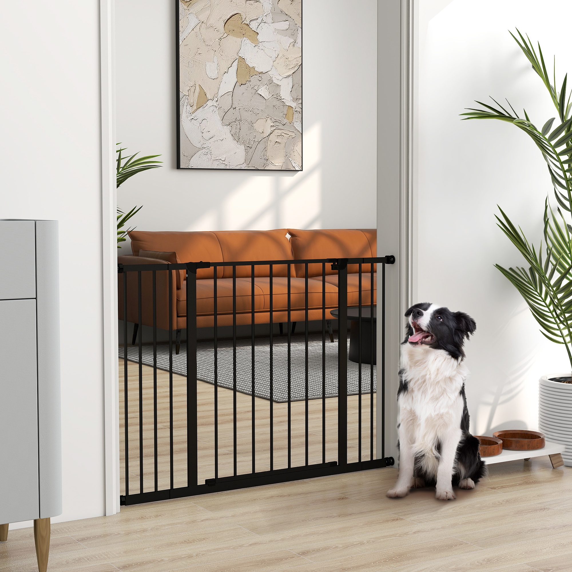 Un border collie sentado ante una puerta negra, con un sofá marrón detrás.