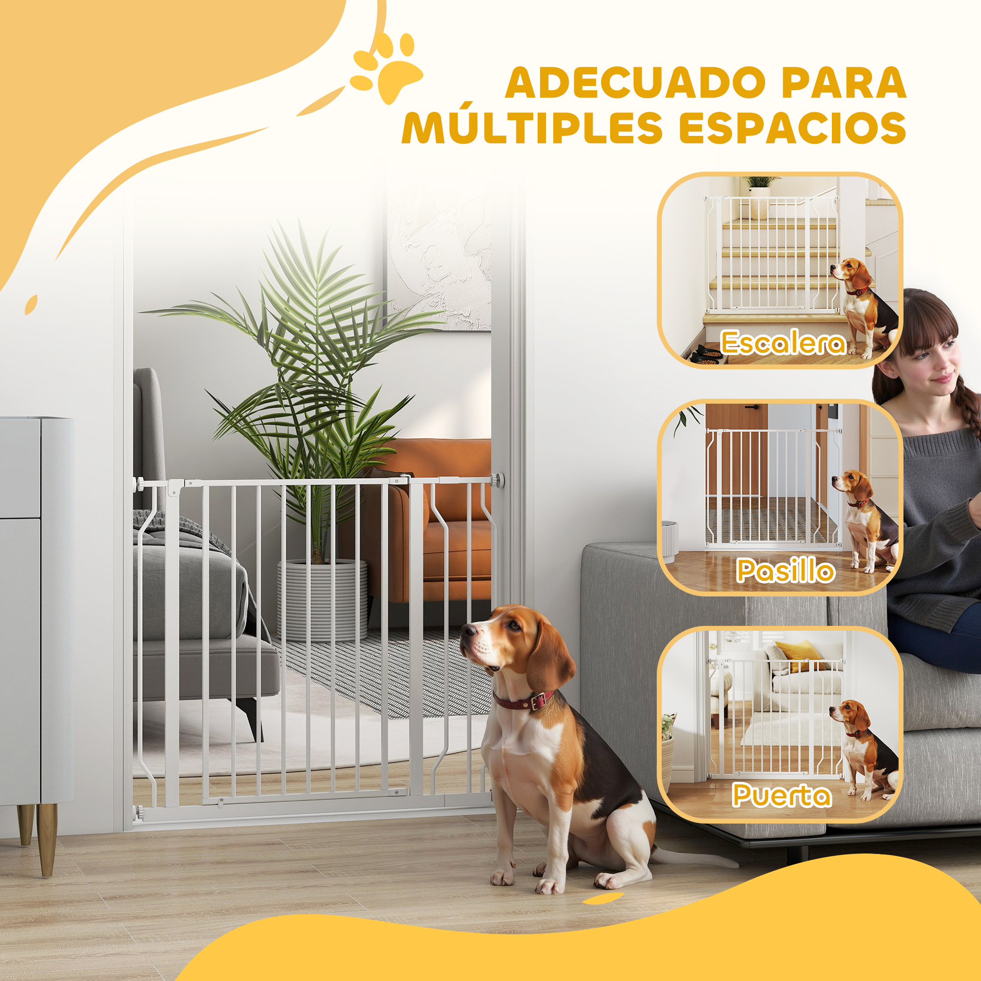 Un beagle se sienta frente a una barrera blanca en una sala.