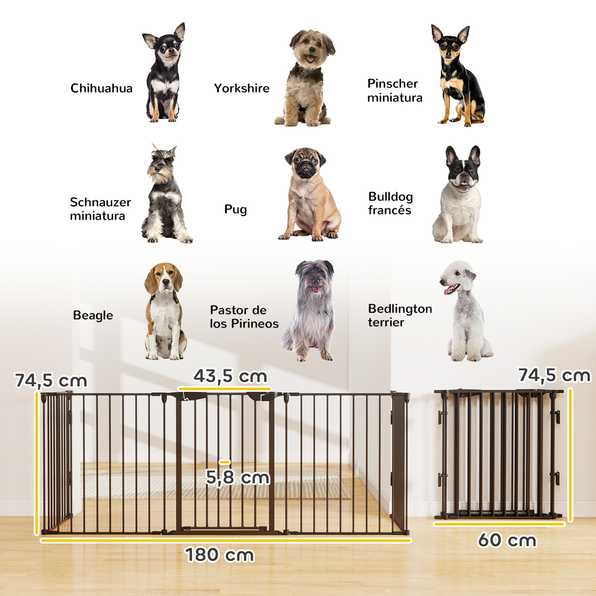 Perros de varias razas y barreras de seguridad con medidas.