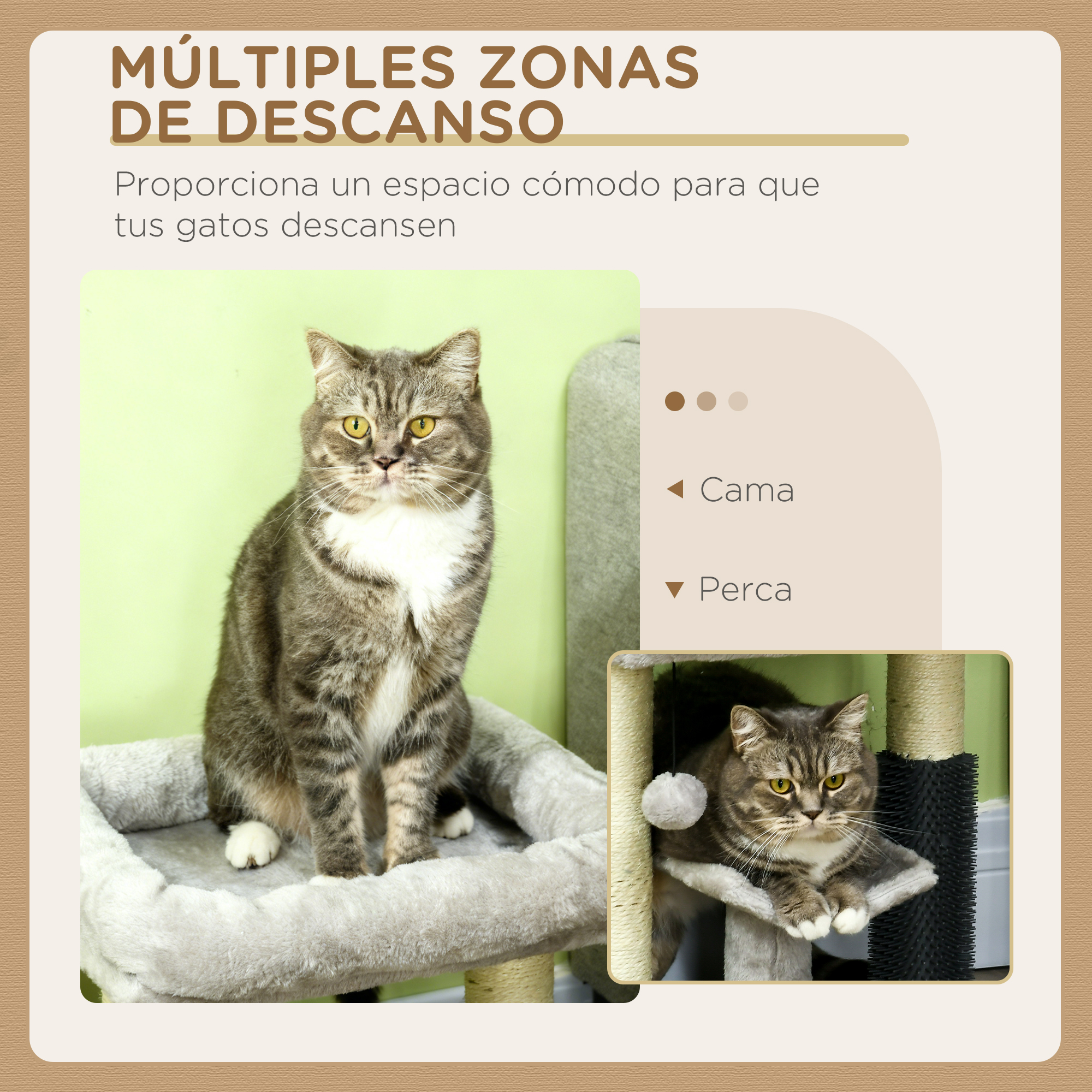 Un gato atigrado se sienta en una plataforma de árbol para gatos.