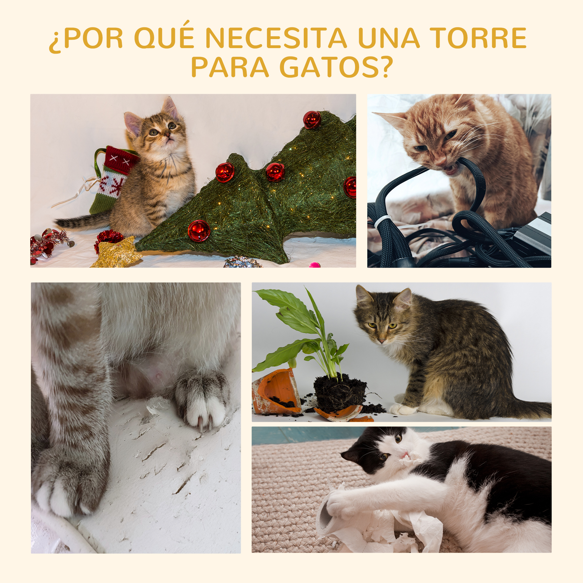 Un gatito cerca de un calcetín navideño, un gato mordiendo cables y una maceta rota.