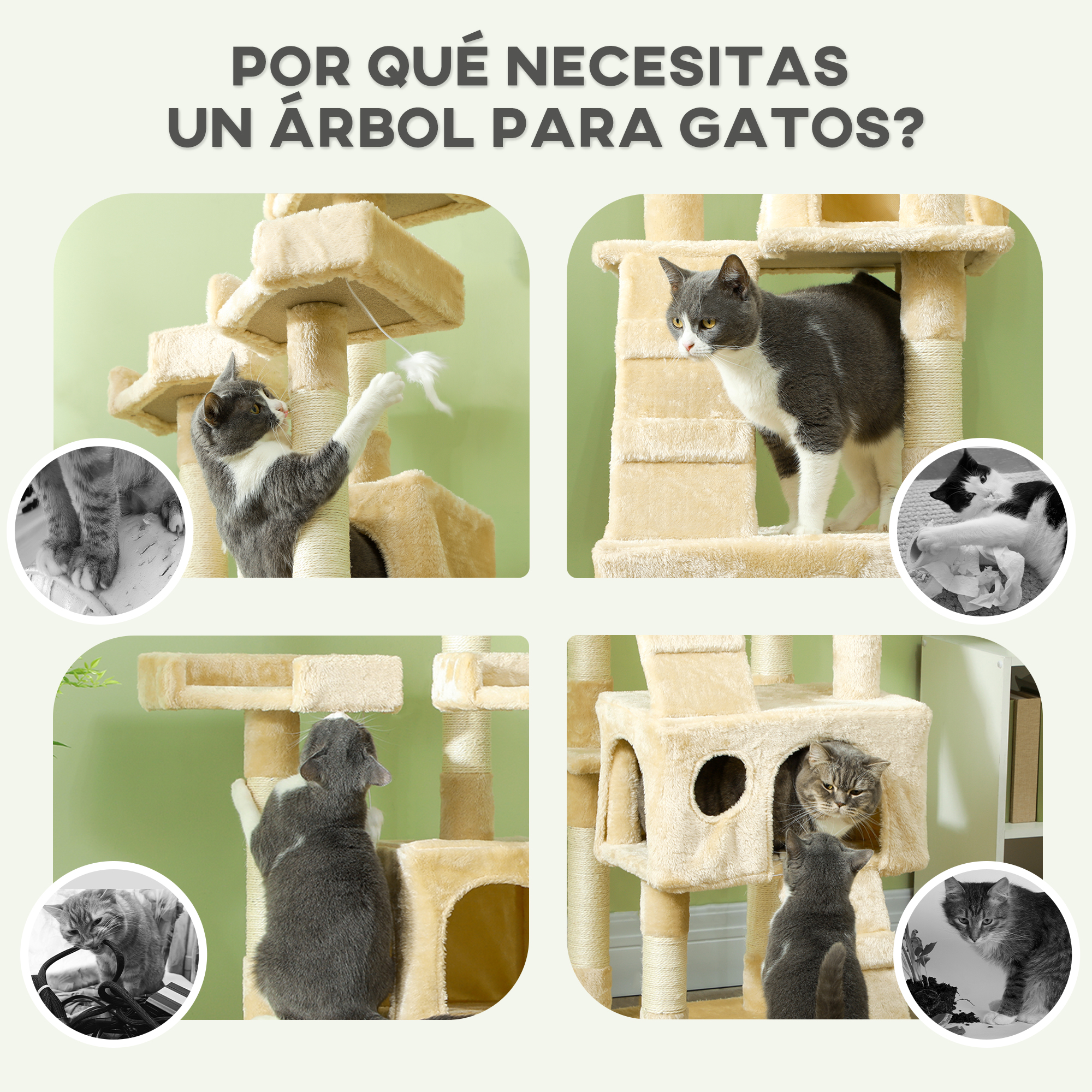 Árboles para gatos con gatos jugando y descansando en varios escenarios.
