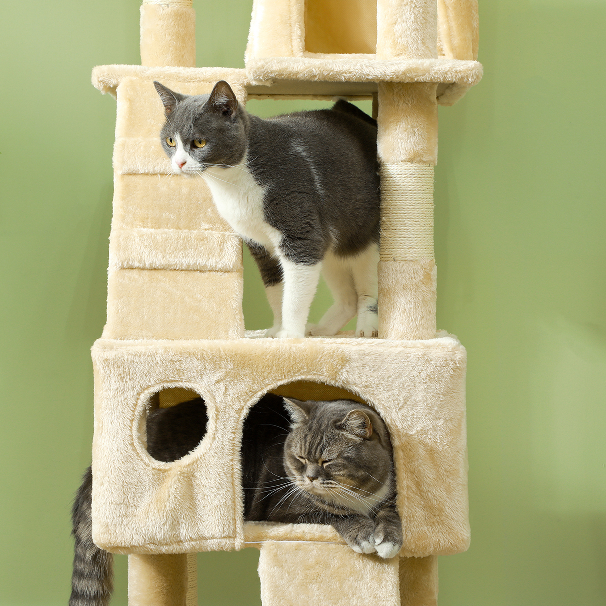 Dos gatos en un árbol para gatos beige sobre fondo verde.